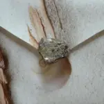 Come fare un disegno con la sabbia del mare e la colla vinilica
