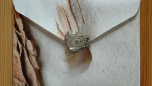 Come fare un disegno con la sabbia del mare e la colla vinilica