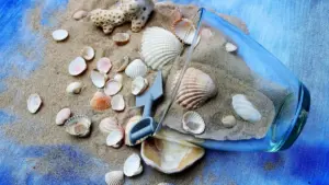 Cornice con conchiglie fai da te: come fissarle su una base di cartone