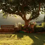 Giochi con le ombre in giardino: indovinare sagome e inventare pose a turno