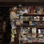 Fumetti con più autori: come capire dalla scheda chi ha scritto e disegnato le storie