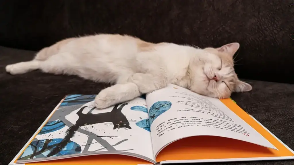 Fumetti con protagonisti animali: come valutare se comportamenti e ambiente sono coerenti