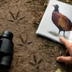 Animali con impronte delle dita: come aggiungere pochi tratti per distinguerli
